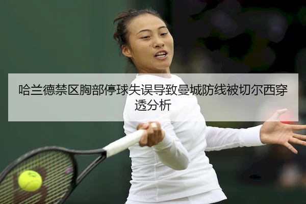 ha-lan-de-jin-qu-xiong-bu-ting-qiu-shi-wu-dao-zhi-man-cheng-fang-xian-bei-qie-er-xi-chuan-tou-fen-xi-2-458.jpg